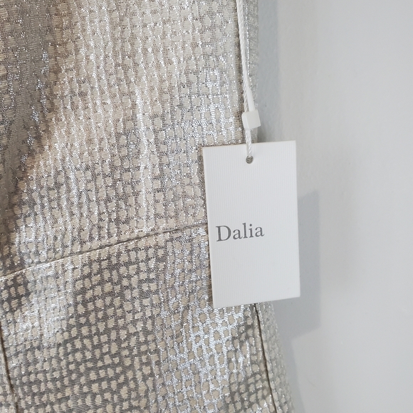 Dalia Pocked Silver Sleeveless Cocktail Dress Size 12 Womens Front pockets NWT - Picture 5 of 15